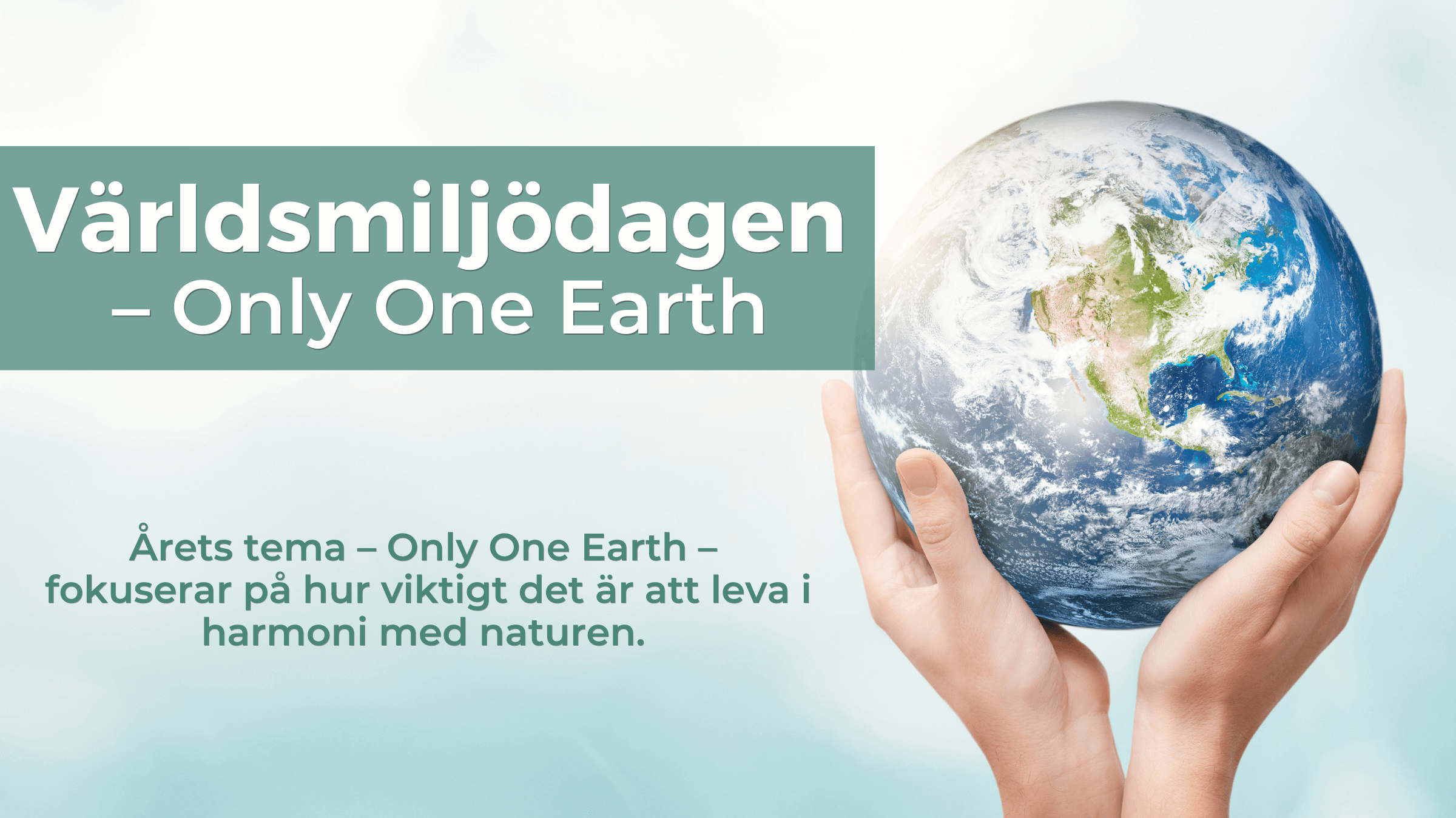 Världsmiljödagen – Only One Earth